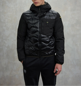 Giubbino Imbottitura Mista 8078 Blauer