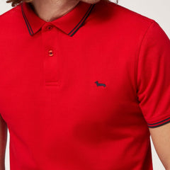Polo Harmont & Blaine