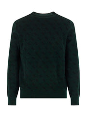 Maglioncino Con Fantasia 4g Guess