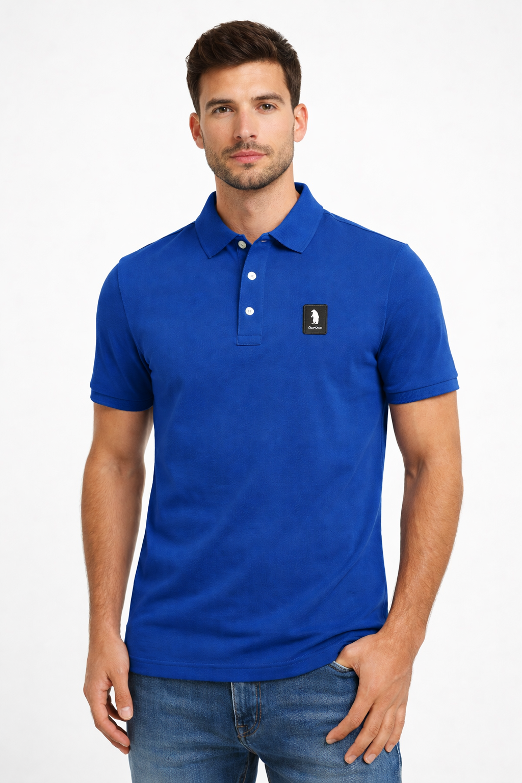 Polo Logo Refrigue